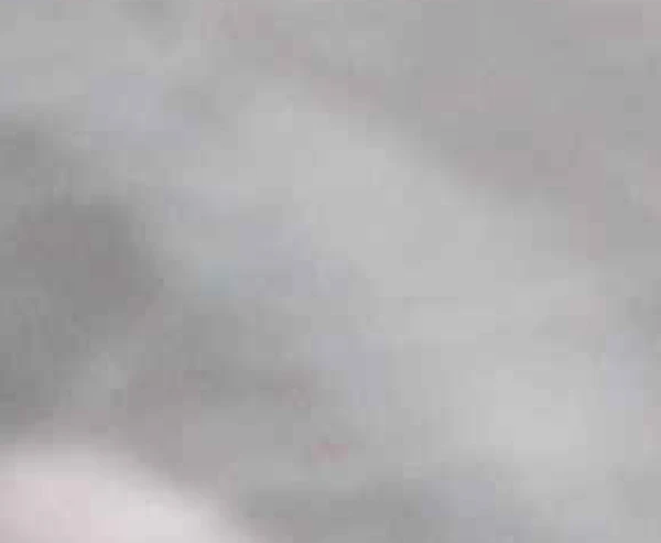 Genève fondue tour met tuk tuk