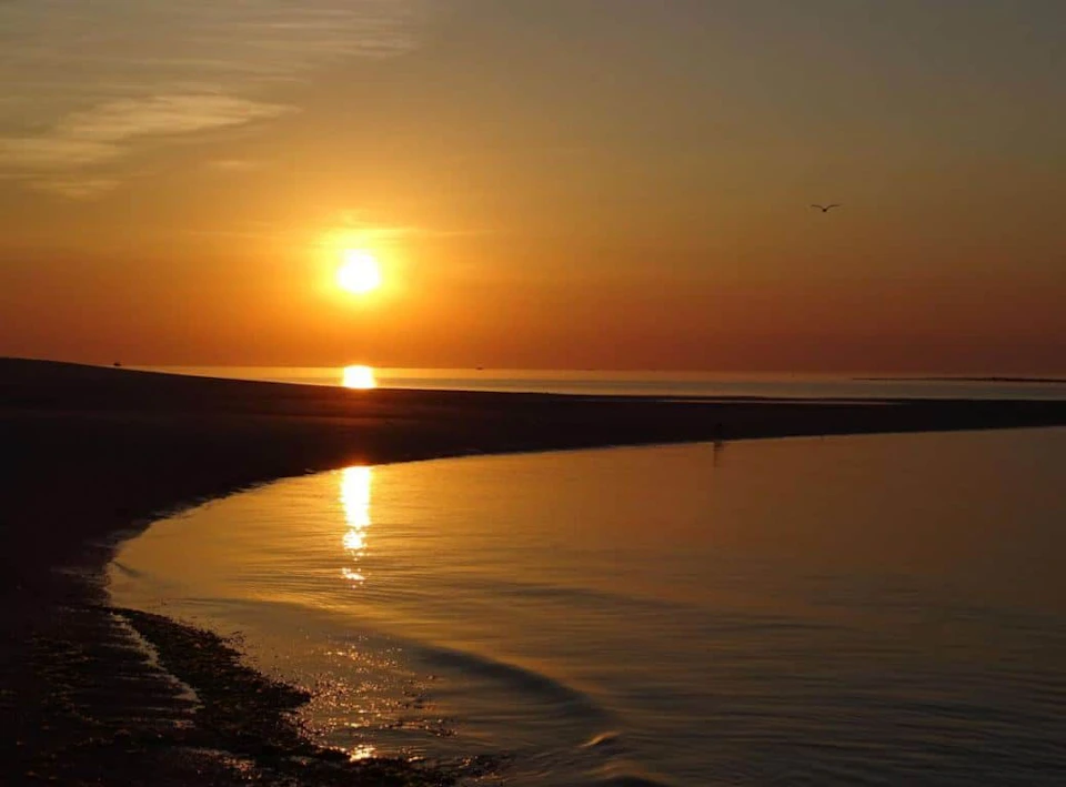 Sunset over a calm beach with a gently curved shoreline, reflected sunlight on the water, and a solitary bird in the sky.