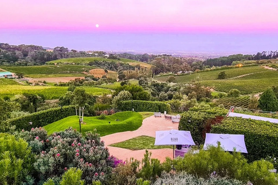 Beautiful Constantia