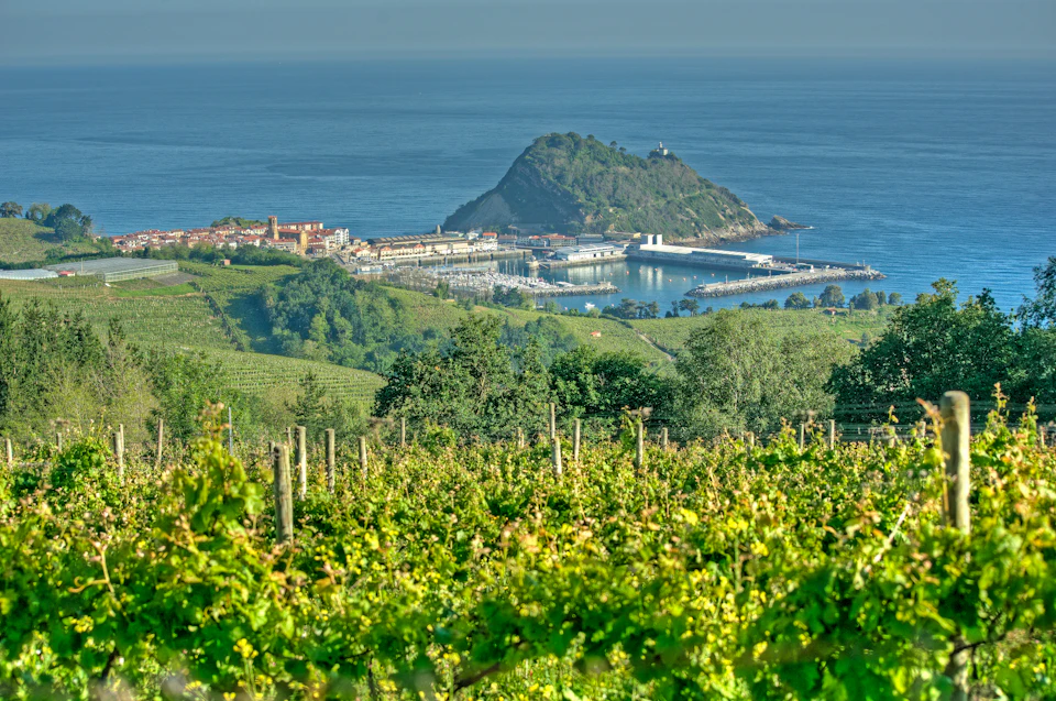 Green vineyards in the foreground, a coastal town, marina, and a hill with dense vegetation are in the background.