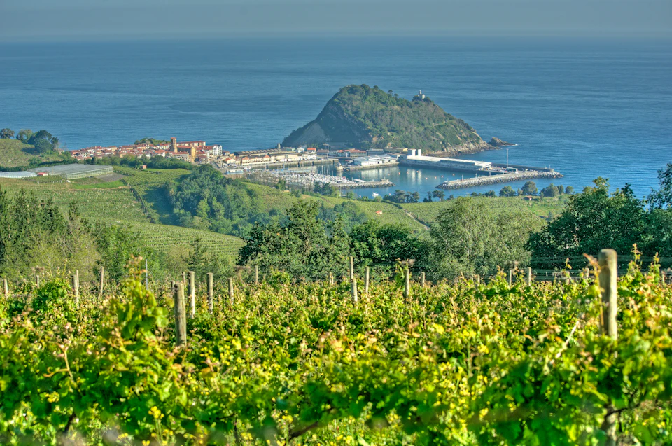 Green vineyards in the foreground, a coastal town, marina, and a hill with dense vegetation are in the background.