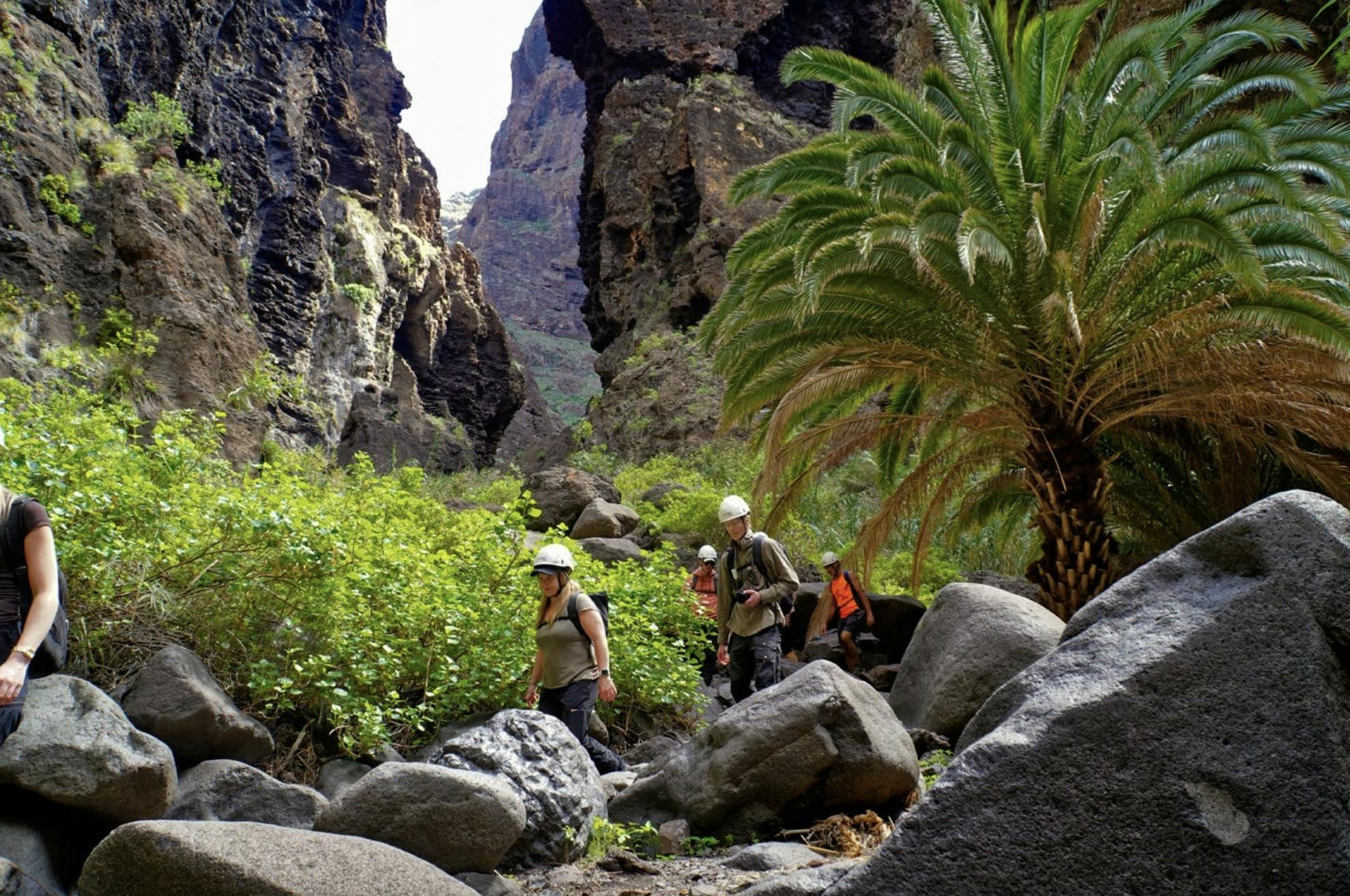 Activitat núm. 3 a <City 65876>: Tours de senderisme a Tenerife
