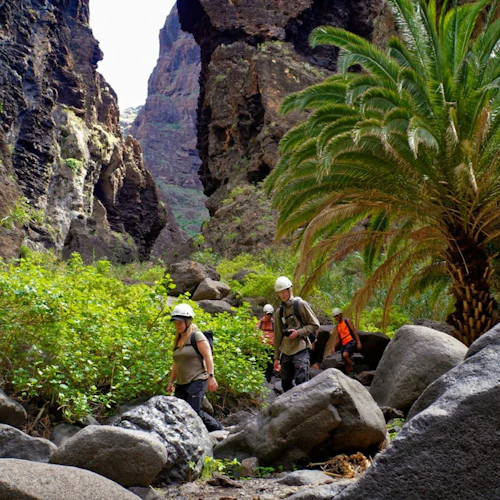 Masca Hamlet & Teno Massif: Guided Hiking Tour from Las Portelas