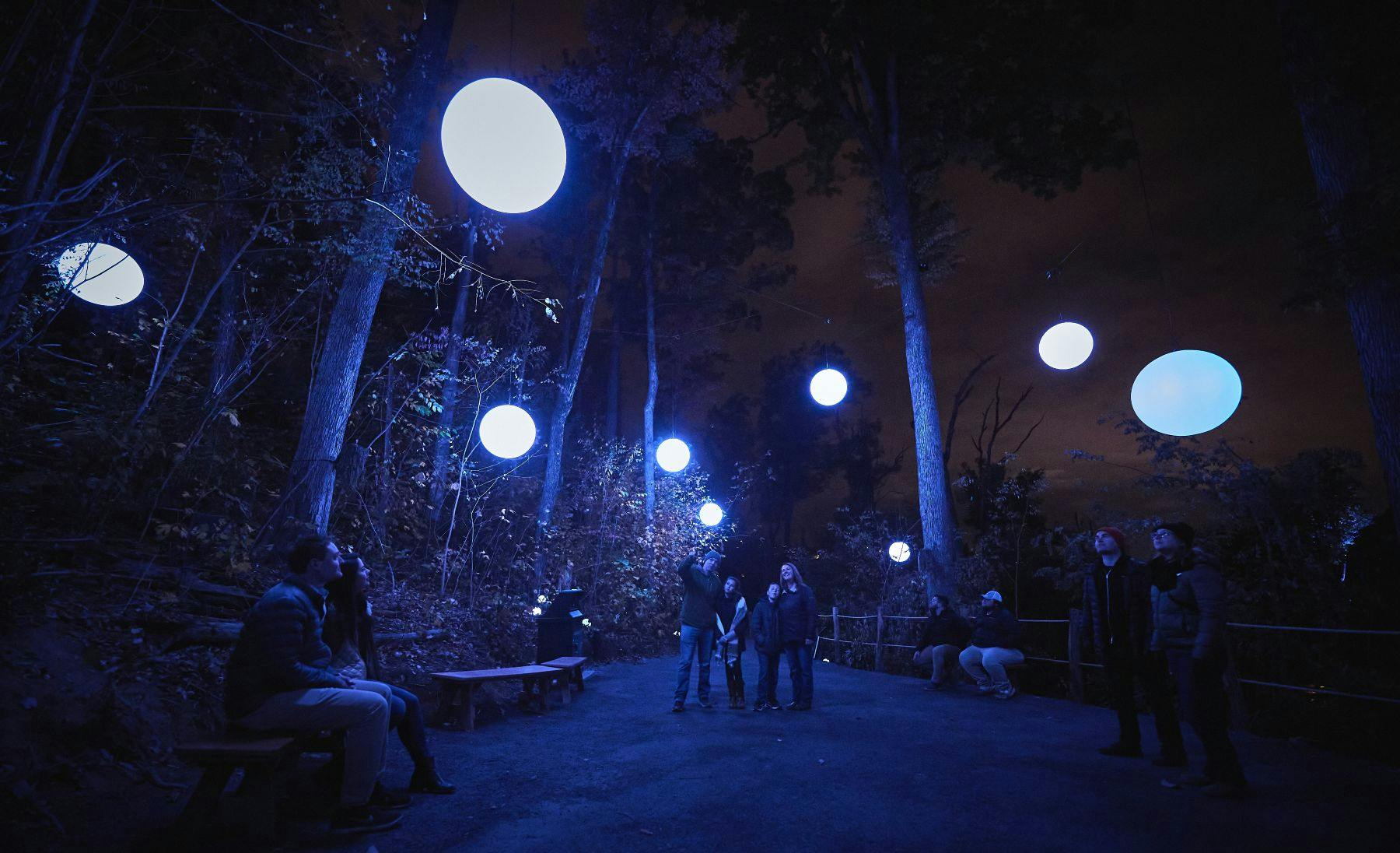 People walking and sitting in a wooded area at night, illuminated by glowing spherical lights hanging from trees.