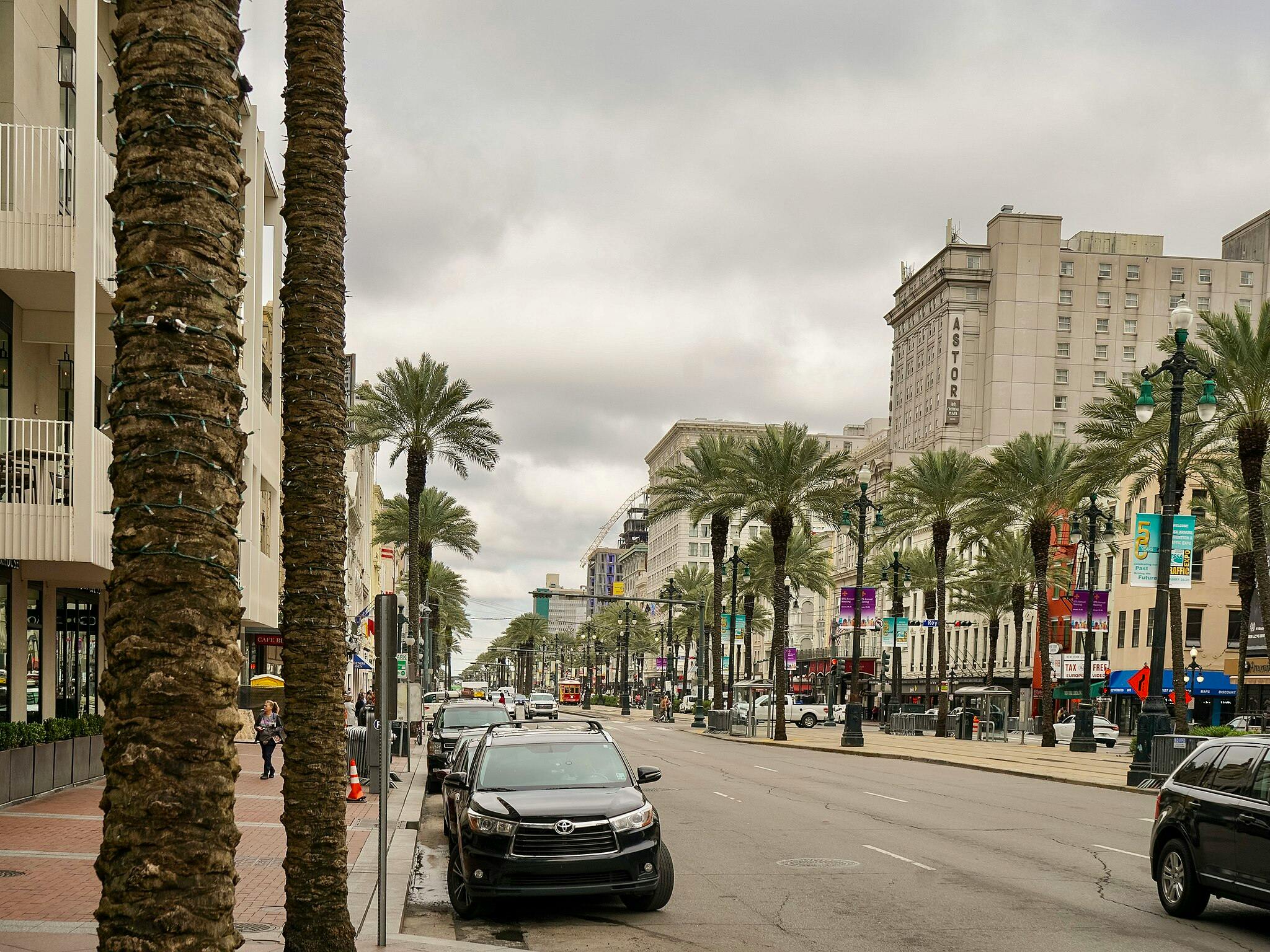 Stadsgata kantad av palmer, parkerade bilar och höga byggnader; mulen himmel i bakgrunden.