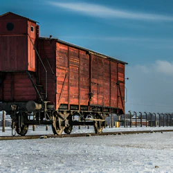 Auschwitz-Birkenau: Guided Tour + Hotel Pickup 5