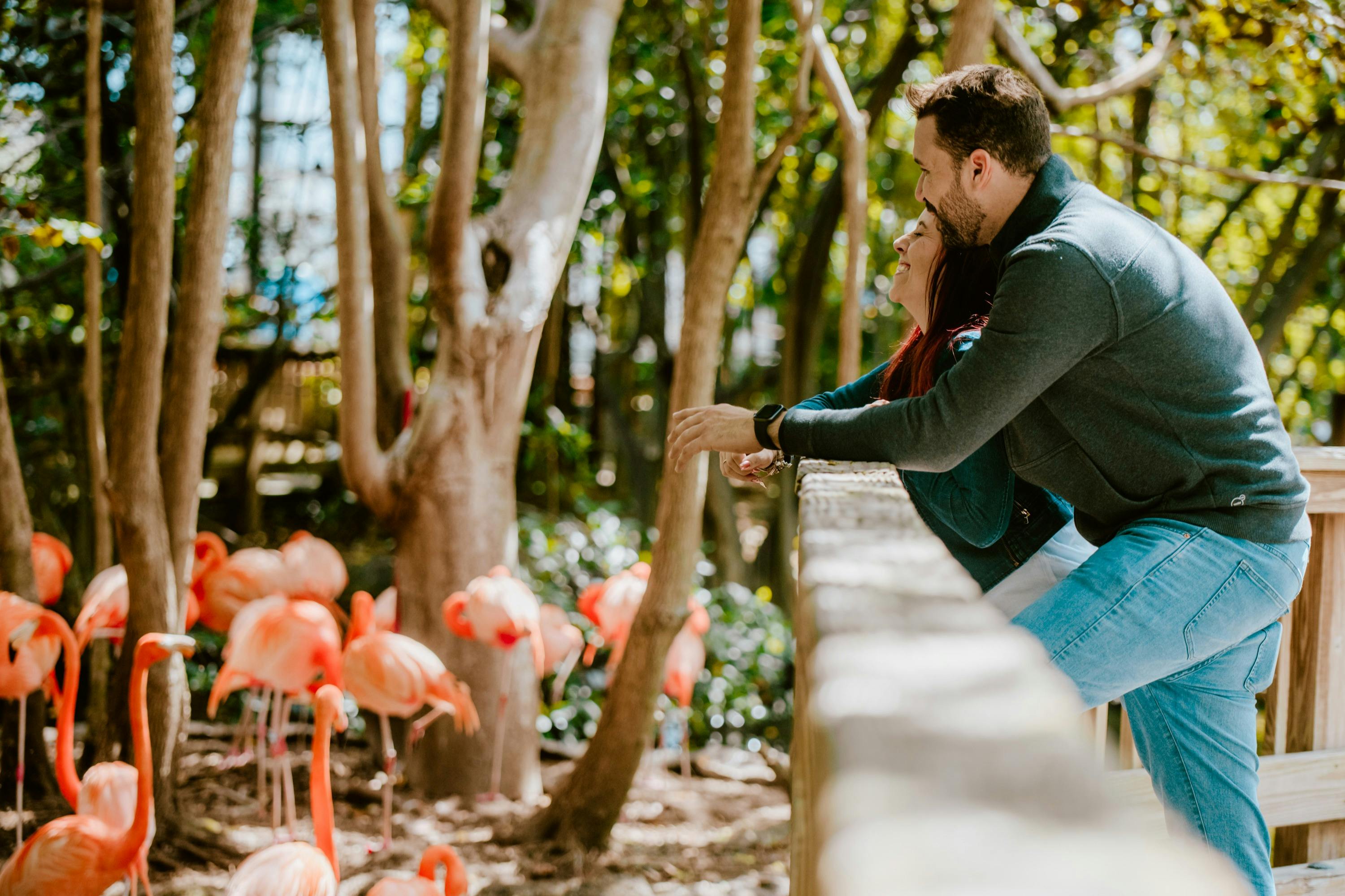 Pár se opírá o dřevěné zábradlí, směje se a dívá se na plameňáky ve svěžím zeleném parku.