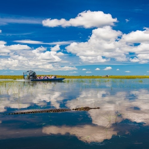 Everglades Express Tour from Fort Lauderdale + Airboat Ride