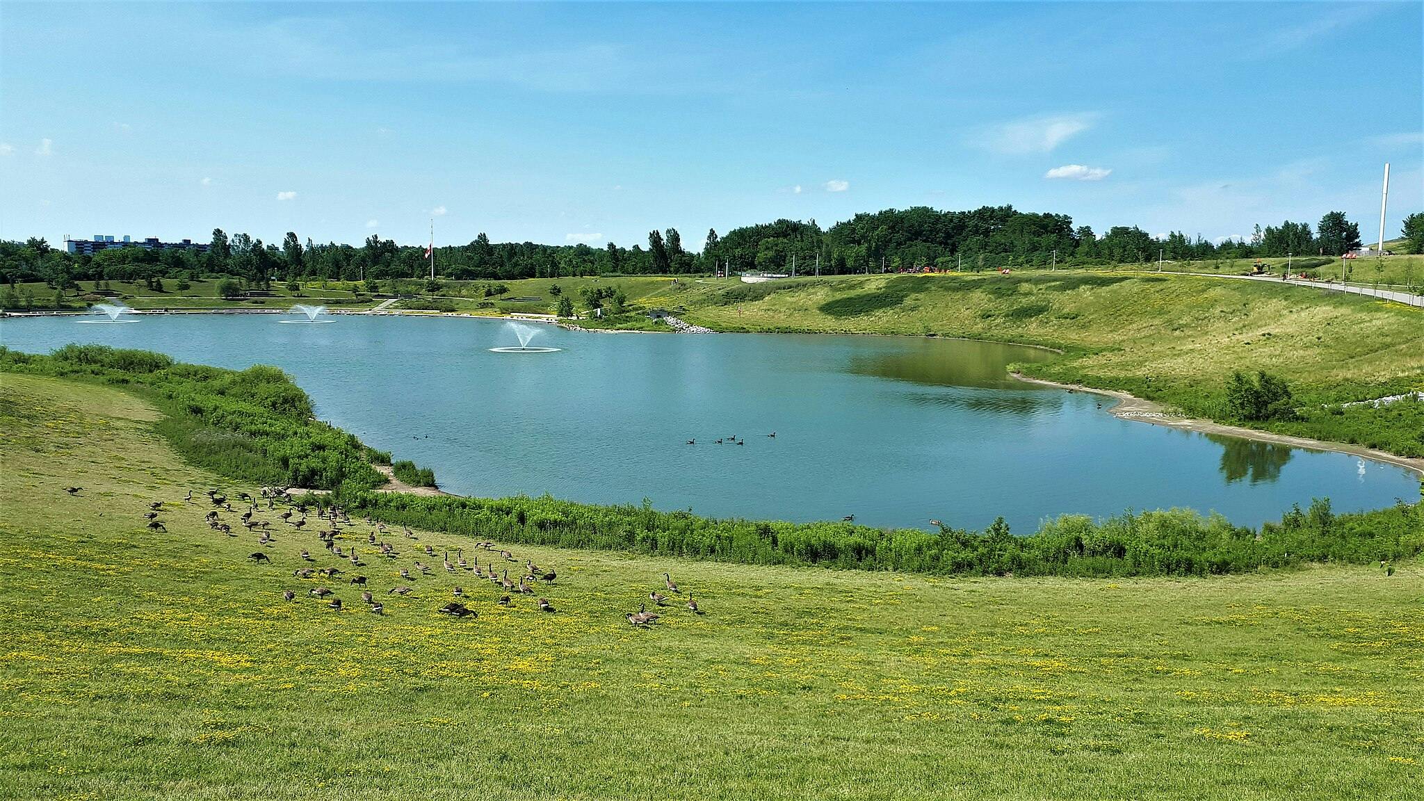 Un parc avec un grand étang doté de fontaines, entouré de collines herbeuses, d'arbres et d'un troupeau d'oies broutant près de l'eau.