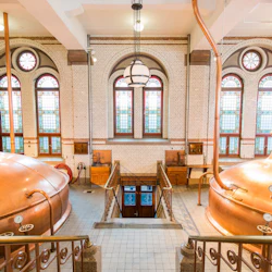 Amsterdam: Guided Canal Cruise + Heineken Experience Entry 4