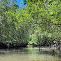 Kayaking Ao Thalane Which is world famous, experience the rich natural ecosystem of mangrove trees, sea, mountains, mangrove 