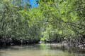 Maak een kajaktocht in Ao Thalane, dat wereldberoemd is, en ervaar het rijke natuurlijke ecosysteem van mangrovebomen, zee, bergen, mangrove