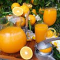 Φρεσκοστυμμένος χυμός πορτοκαλιού