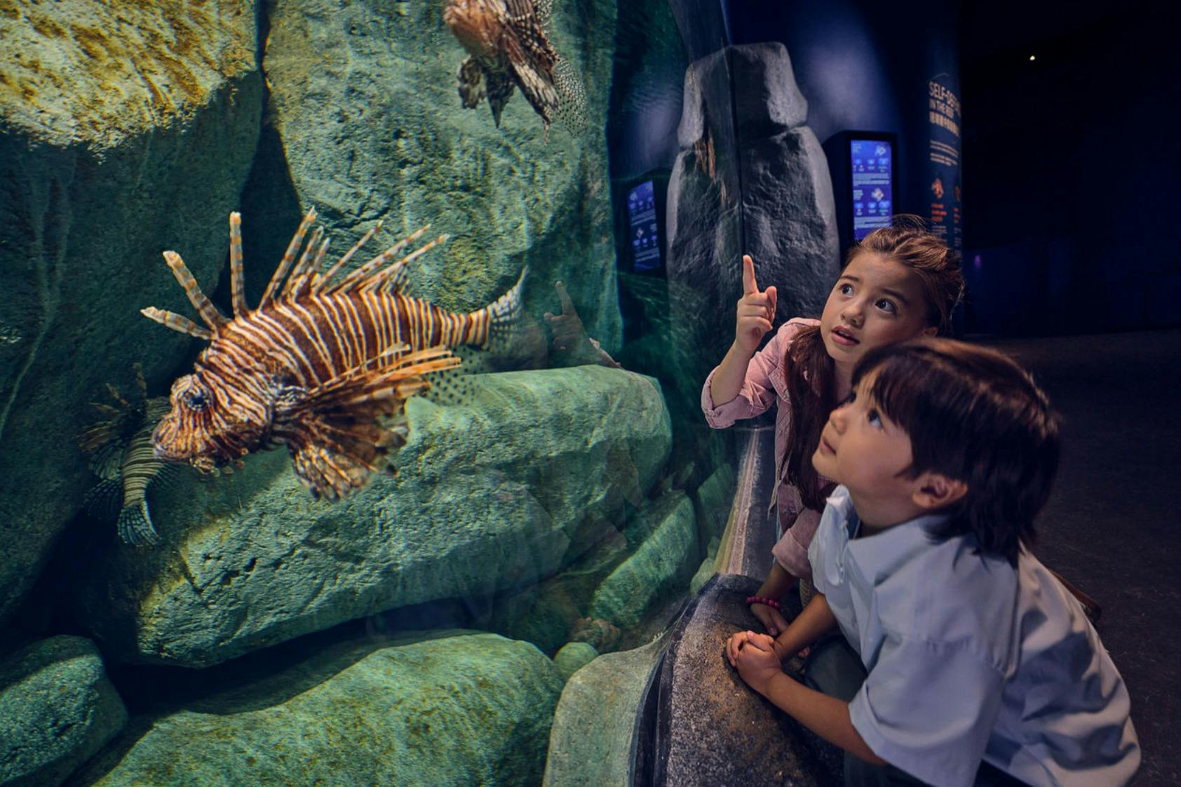 Oceanario di Singapore: Biglietto d'ingresso — 8