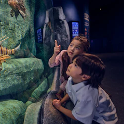 Singapore Oceanarium: Entry Ticket 5