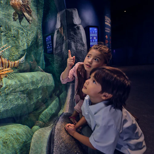 Singapore Oceanarium: Entry Ticket - Photo 6