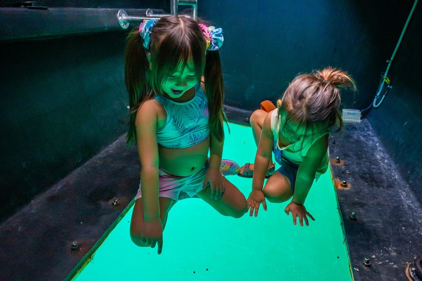 Excursion en bateau à fond de verre à Hawaï