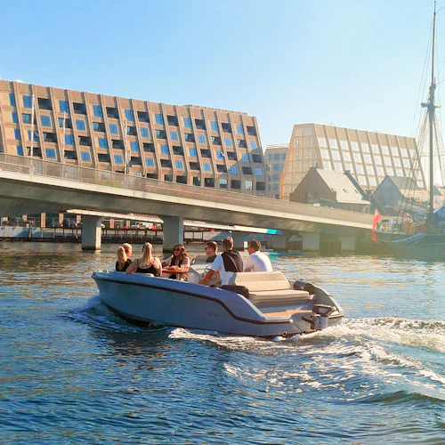 Copenhague: Passeio de barco particular de 2, 3, 4 ou 5 horas - Photo 2