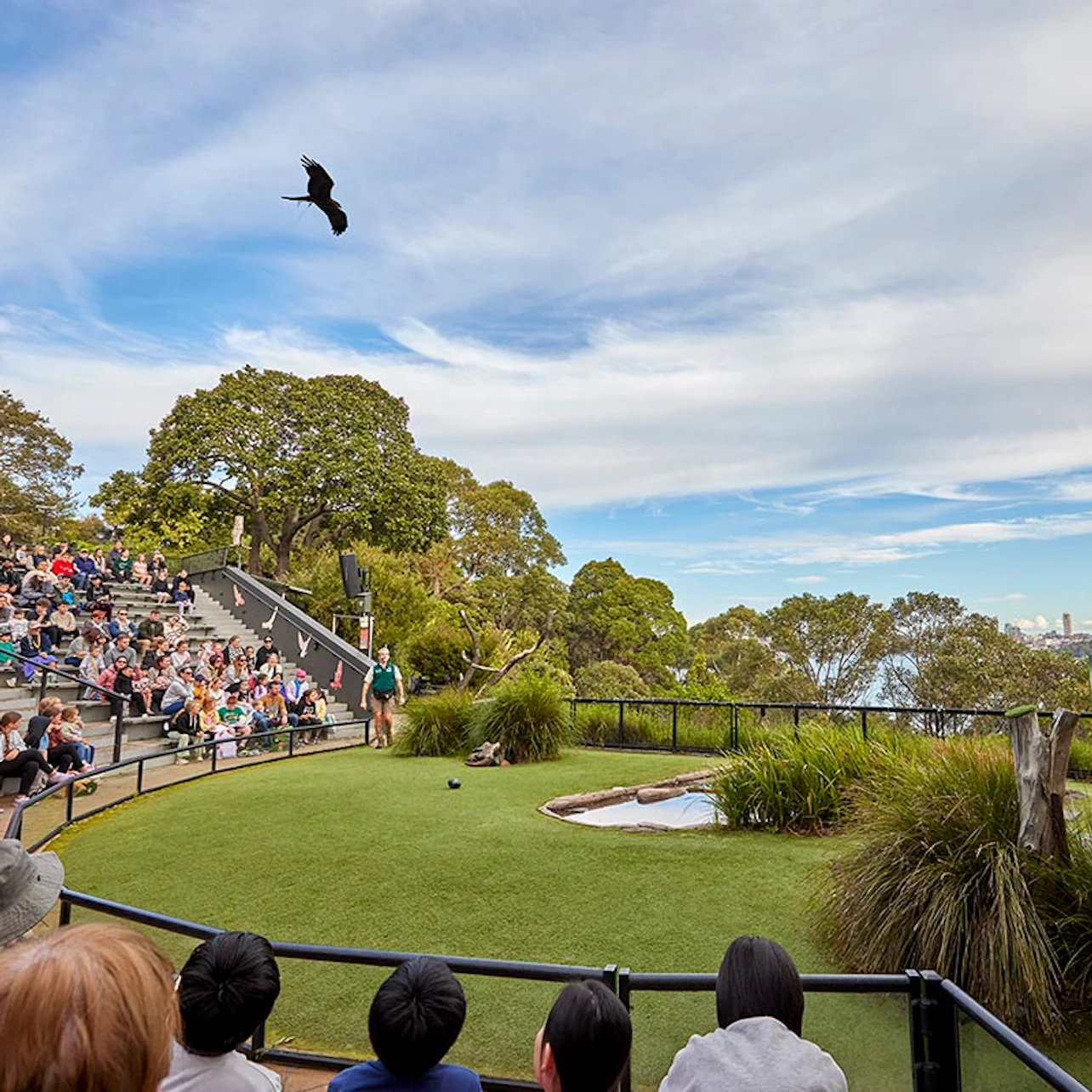 Taronga Zoo Sydney: Entry Ticket in Sydney β Tiqets