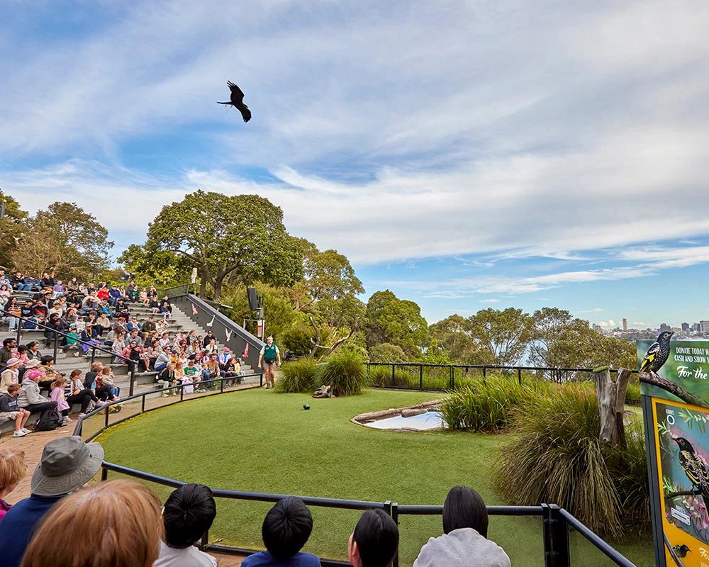 Zoológico de Taronga Sydney: bilhete de entrada
