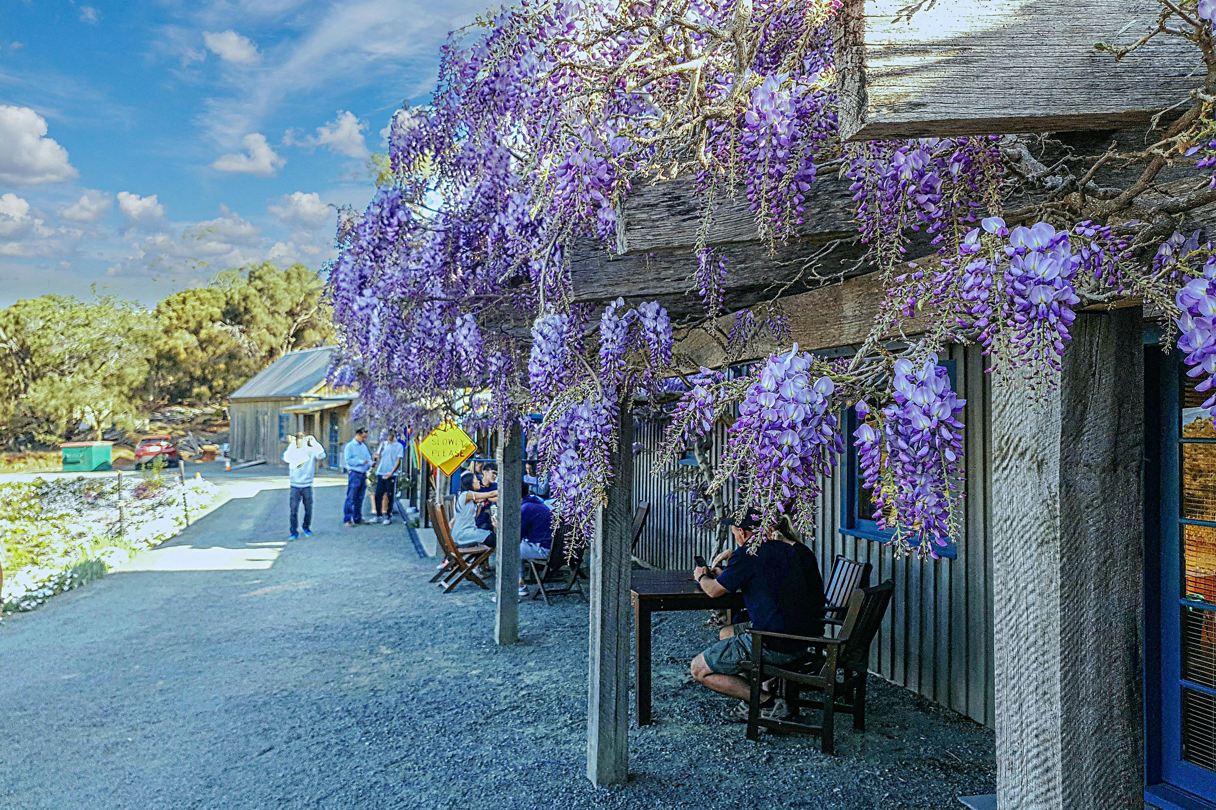 ケイト・ベリー農場で甘いお菓子を食べて、オイスターベイの素晴らしい景色を堪能しよう