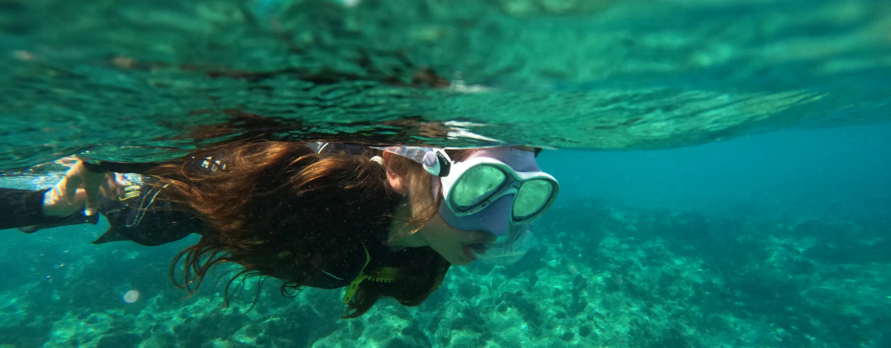 Playa Blanca: Esperienza guidata di snorkeling + trasferimenti