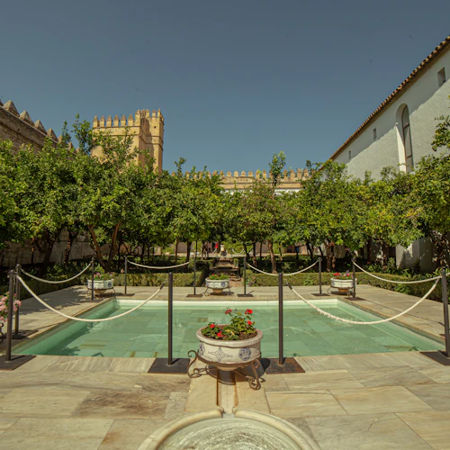 Guided Córdoba Highlights Walking Tour - Photo 4