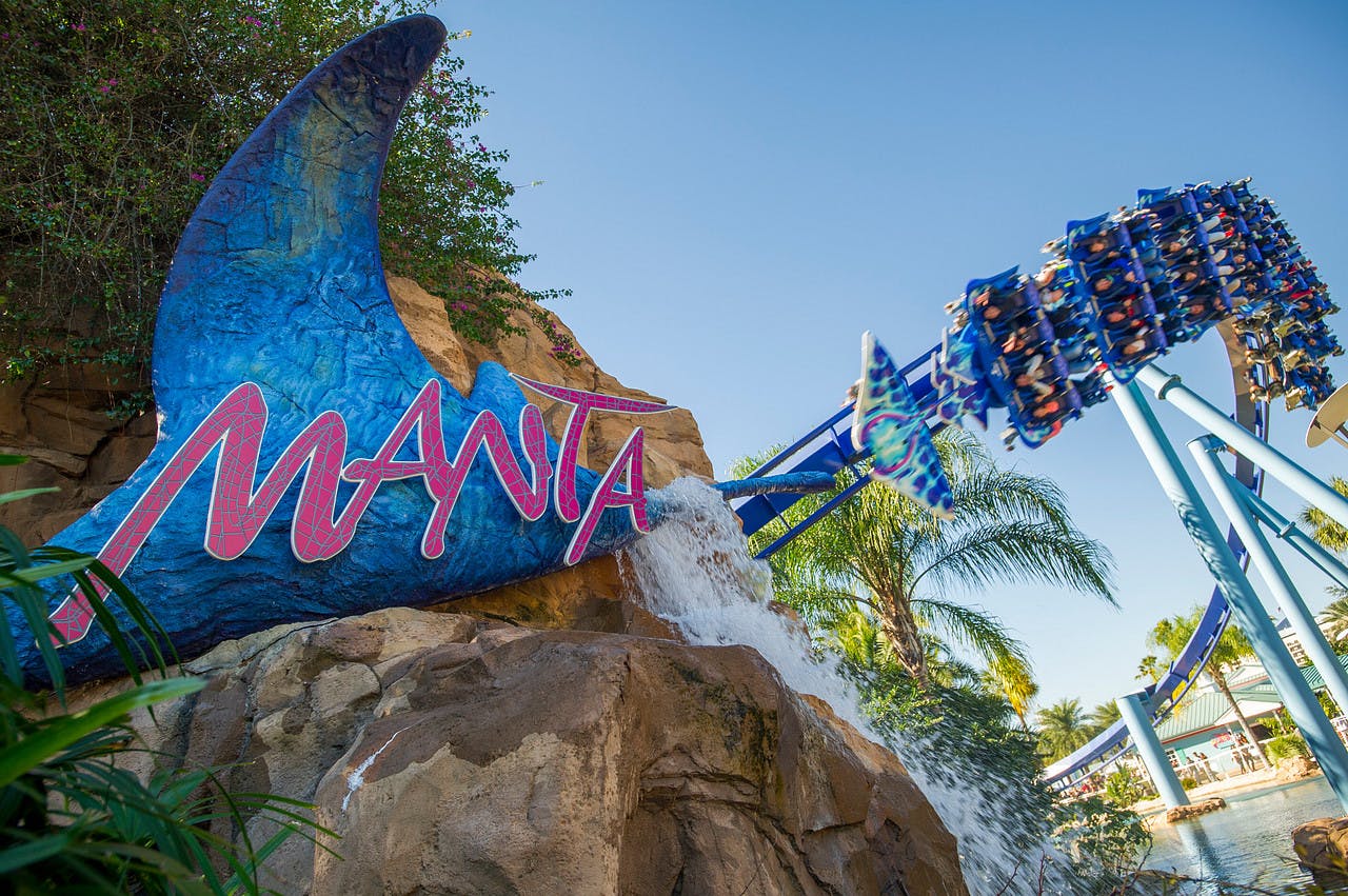 过山车主题为“蝠蝠”标志的蝠蝠，水流淌在岩石上，人们骑在后面的蓝色轨道上。