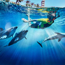 Aquaventure World: Waterpark Day Pass + Dolphin Swim 3