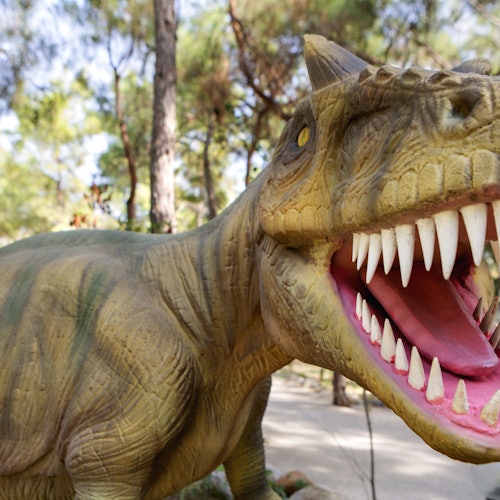 Dinopark Antalya: Entrada