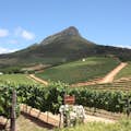Delaire Graff Vineyards à Stellenbosch
