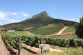 Delaire Graff Vineyards in Stellenbosch
