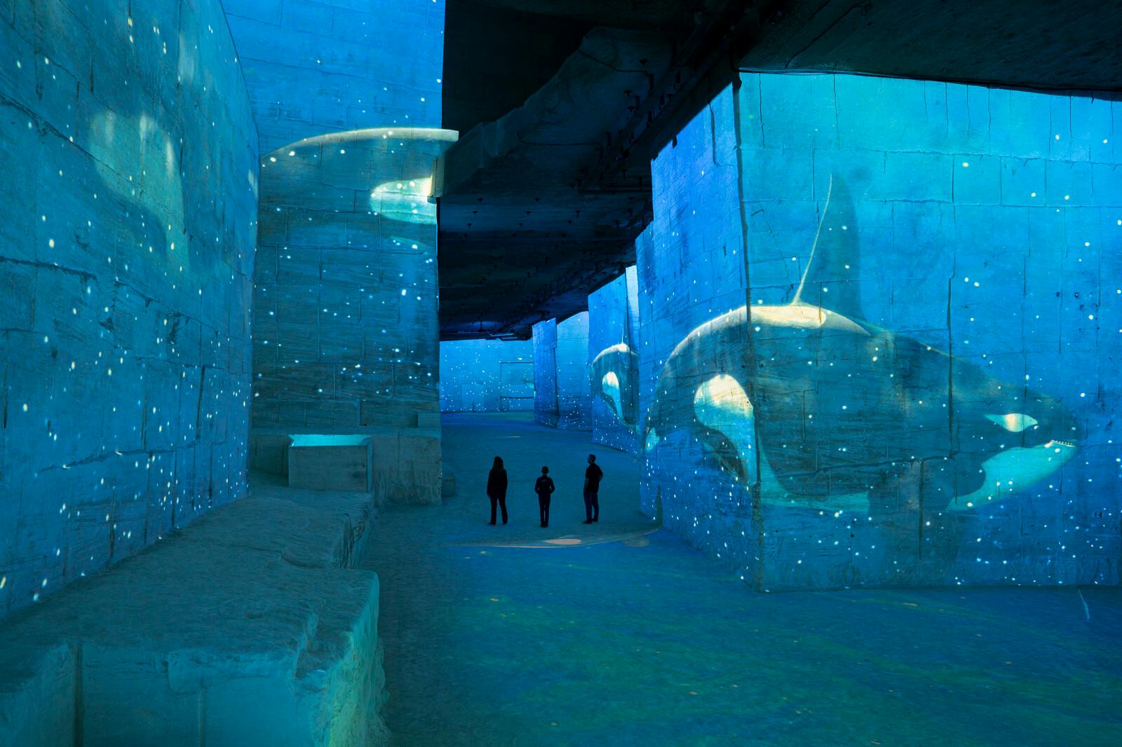 Carrières des Lumières: Ocean Ausstellung