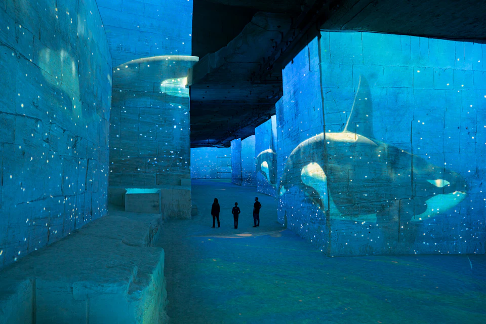 Three people stand inside a large illuminated cavern with projected images of orcas on the walls and a blue light ambiance.