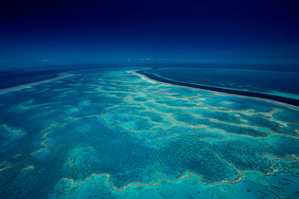 Aerial view of a coral reef system in vibrant turquoise water under a deep blue sky.