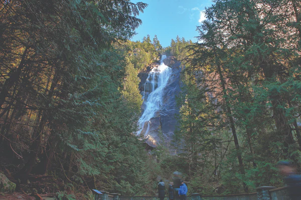 Tour di un giorno di Whistler e delle cascate di Shannon da Vancouver ...