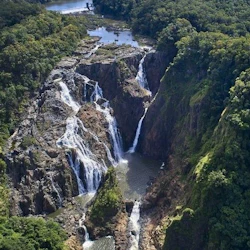 Barron Falls & Cattana Wetlands: from Cairns + Cableway or Scenic Railway Ride