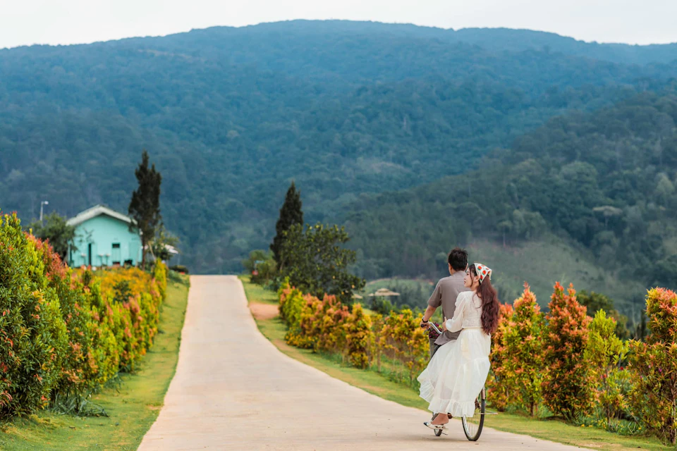Two people on a bicycle ride down a rural road lined with plants, set against a backdrop of mountains and trees.