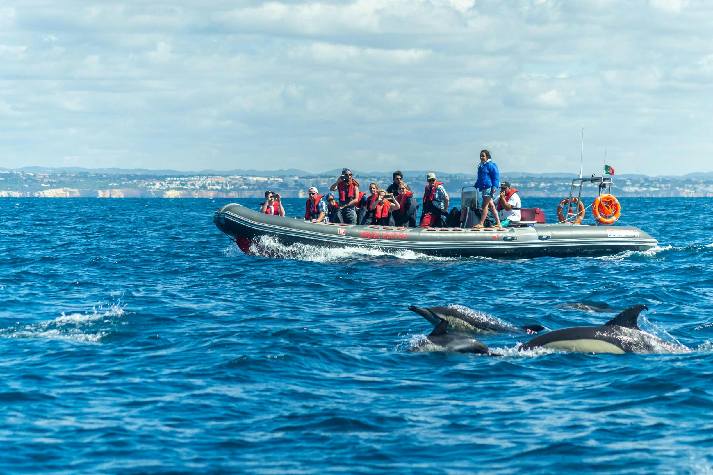 Benagil Caves: Guided RIB Boat Tour from Albufeira + Dolphin Watching 4