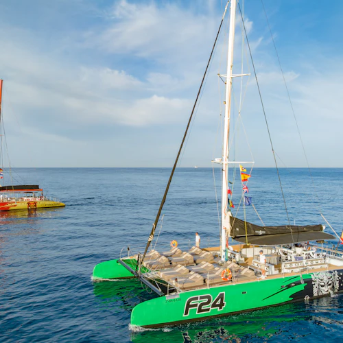 Tenerife: 3-Hour Whale & Dolphin Watching Tour - Photo 4