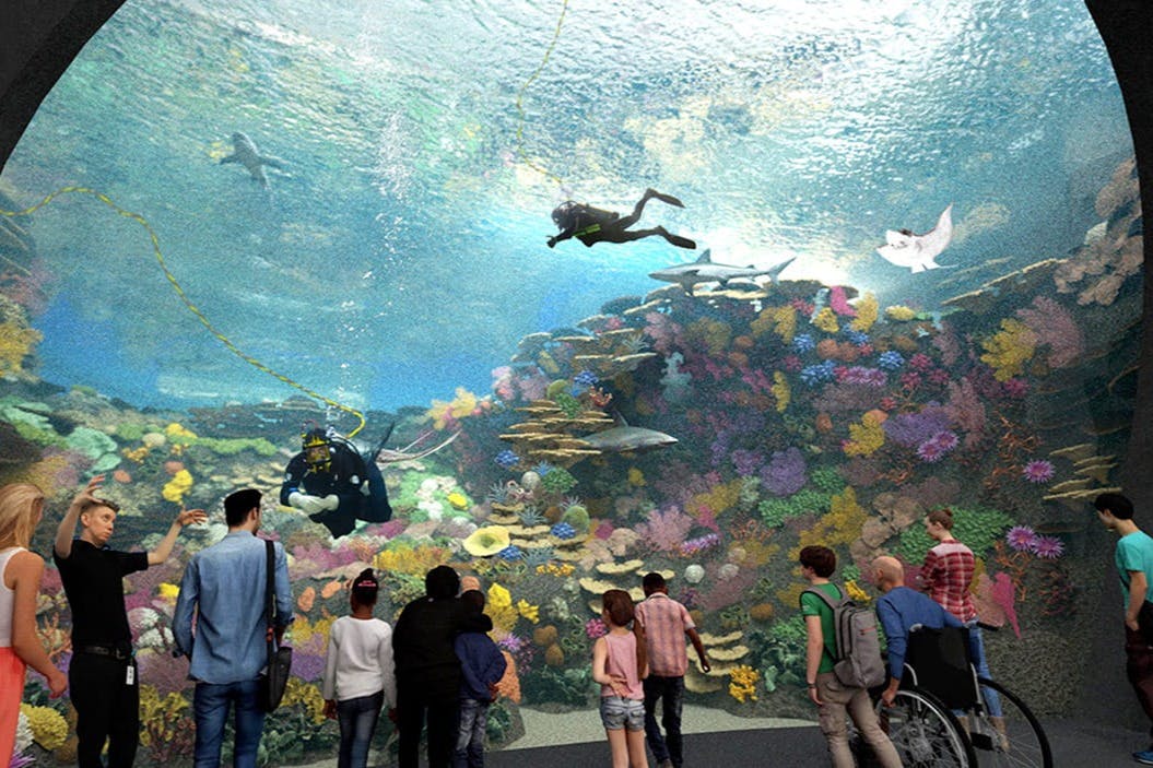 Seattle Aquarium Tickets Tiqets