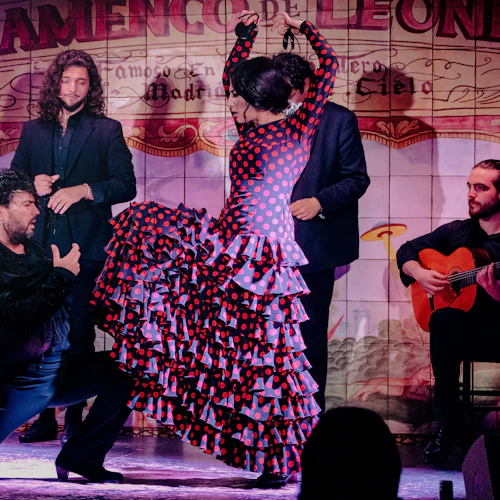 Madrid: Espetáculo de Flamenco em Flamenco de Leones + Jantar - Photo 4