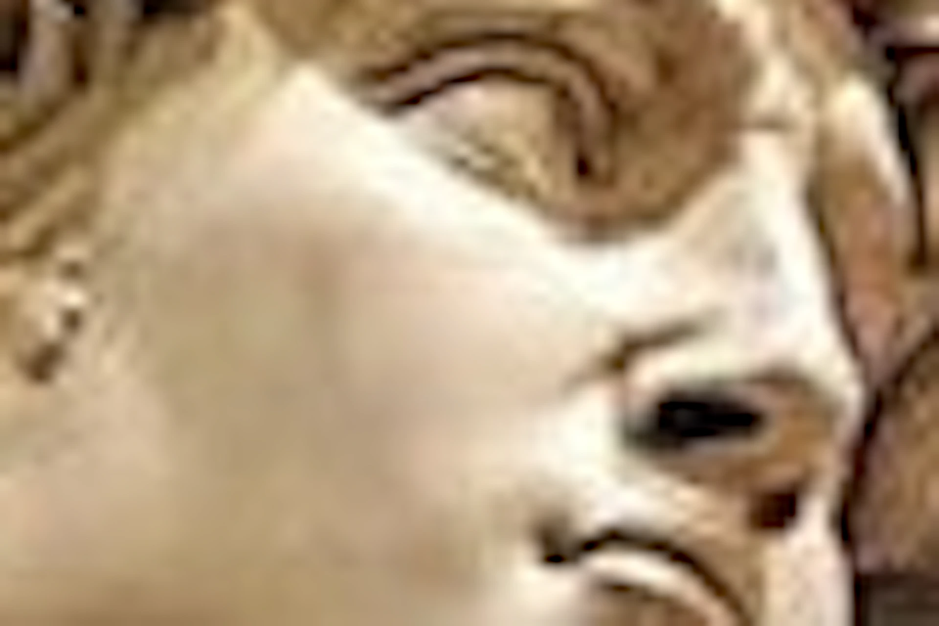 Michelangelo's David