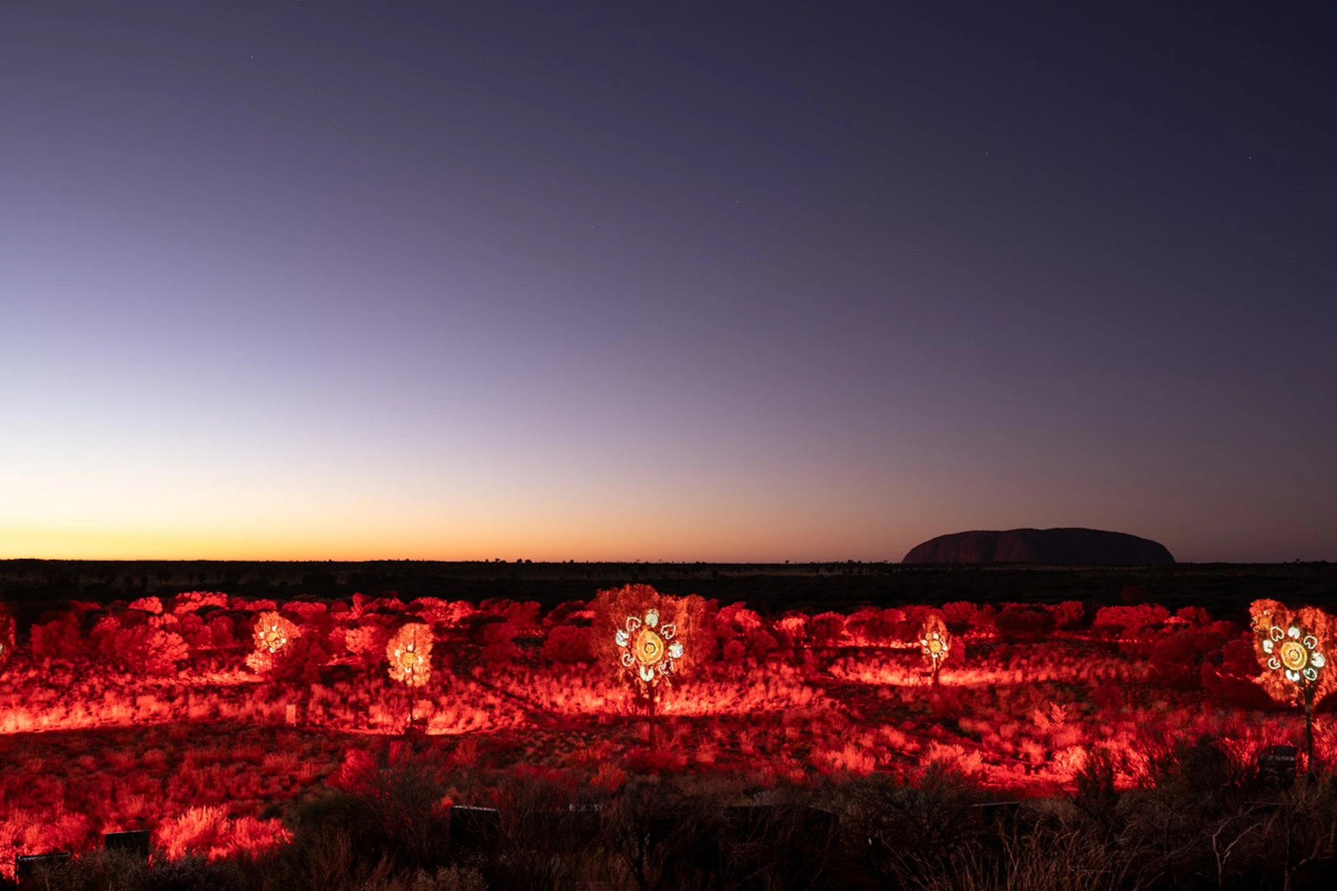 Uluru Sunrise Journeys with Nourishing Breakfast