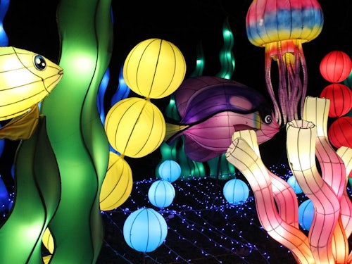 Chinese Lantern World: Light Show Tenerife