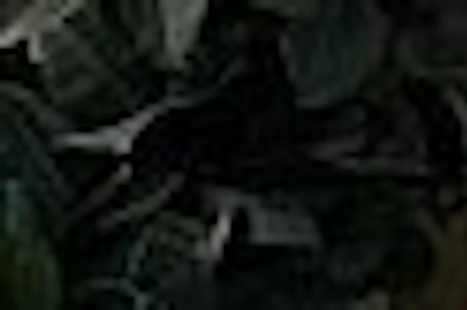 Photo of product