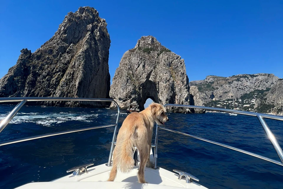 Tour Boat