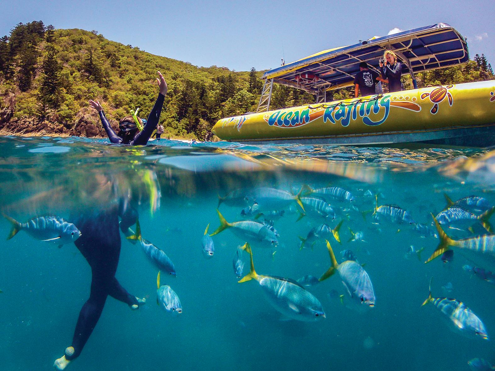 Snorkelers swim near a school of fish in clear water beside a boat labeled 'Ocean Rafting' near a forested coastline.
