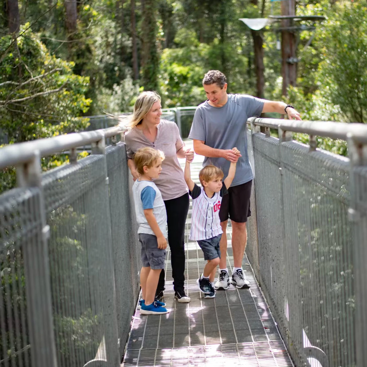 Illawarra Fly Treetop Adventures: Treetop Walk in Knights Hill β Tiqets