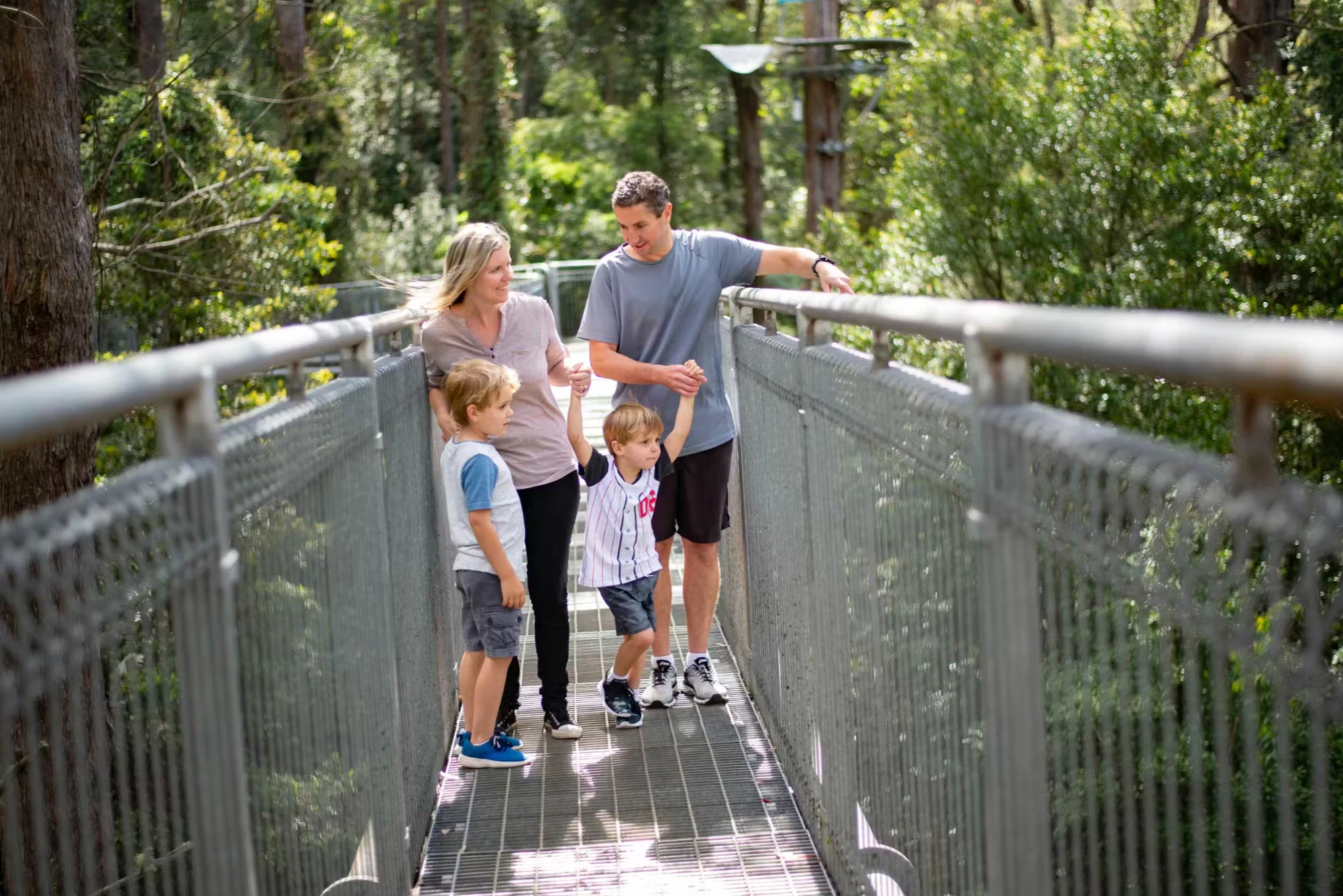 Illawarra Fly Treetop Adventures: Caminhada na copa das árvores